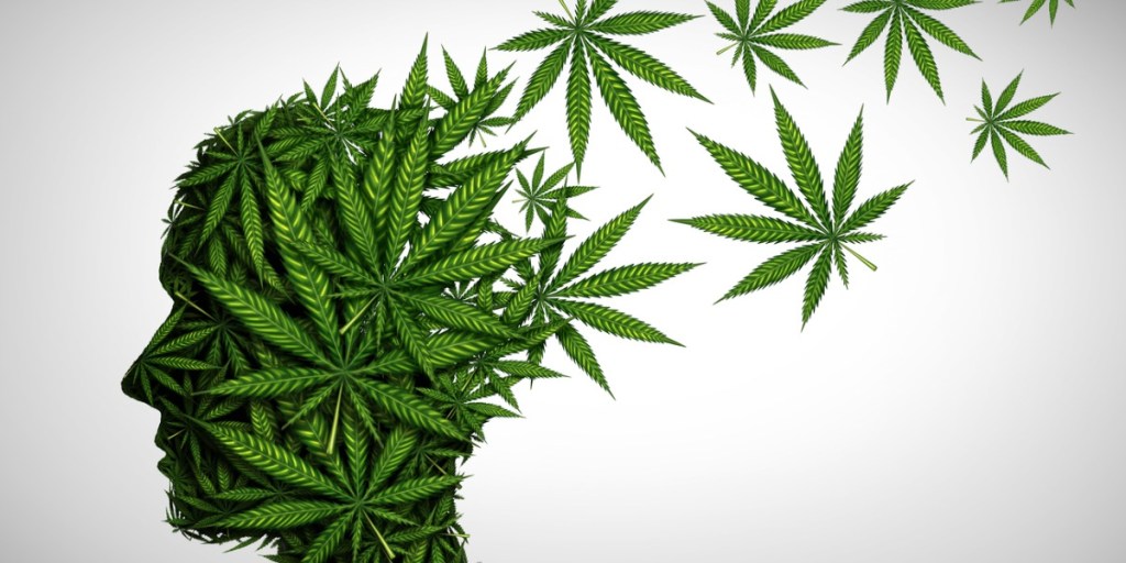 Cannabis and Heart Health: What the Latest Research Tells Us and How to Use It More&nbsp;Safely